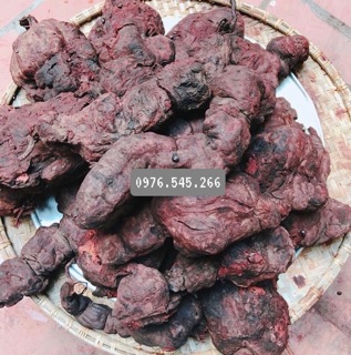 BỘT HÀ THỦ Ô ĐỎ - CỬU CHƯNG CỬU SÁI