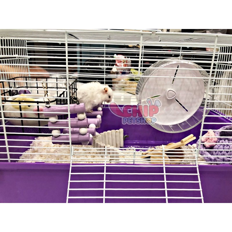 Lồng hamster 60cm [Không Phụ Kiện] Vui lòng đọc kĩ thông tin