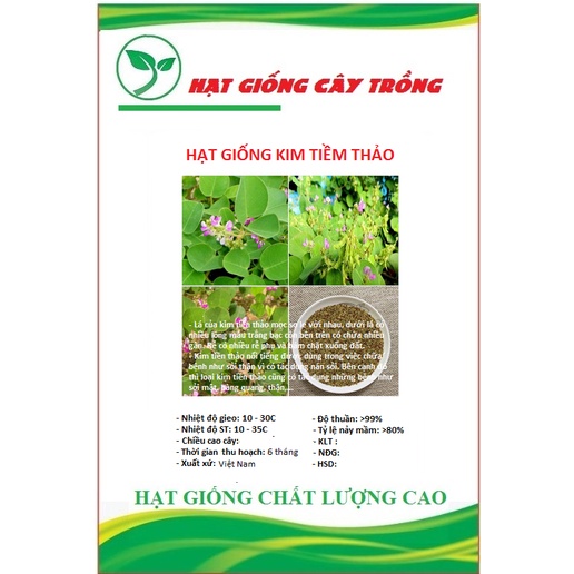 Hạt Giống Kim tiền thảo ( cây dược liệu ) CT208 - Gói 50 hạt