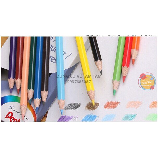 [ TÂM TÂM ]-Chì màu khô Pentel,  Pentel Pencil color-