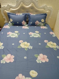 Sét ga gối cotton Hàn m6*2m