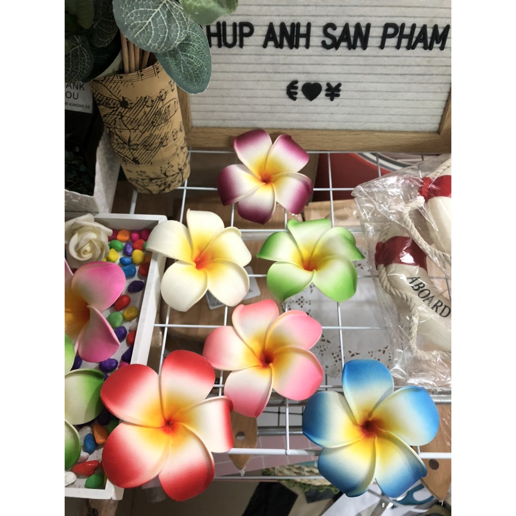 Hoa Đại Phụ Kiện Chụp Ảnh Sản Phẩm