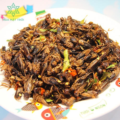 Dế sấy, dế mèn sấy cay giòn, dế thái vàng, đồ khô, đồ sấy, thực phẩm khô, thực phẩm sấy làm đồ nhậu HOA MẶT TRỜI FARM | BigBuy360 - bigbuy360.vn