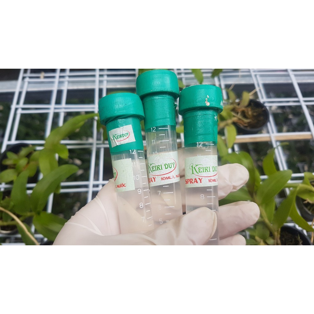 Kích kie Duy xanh, đỏ