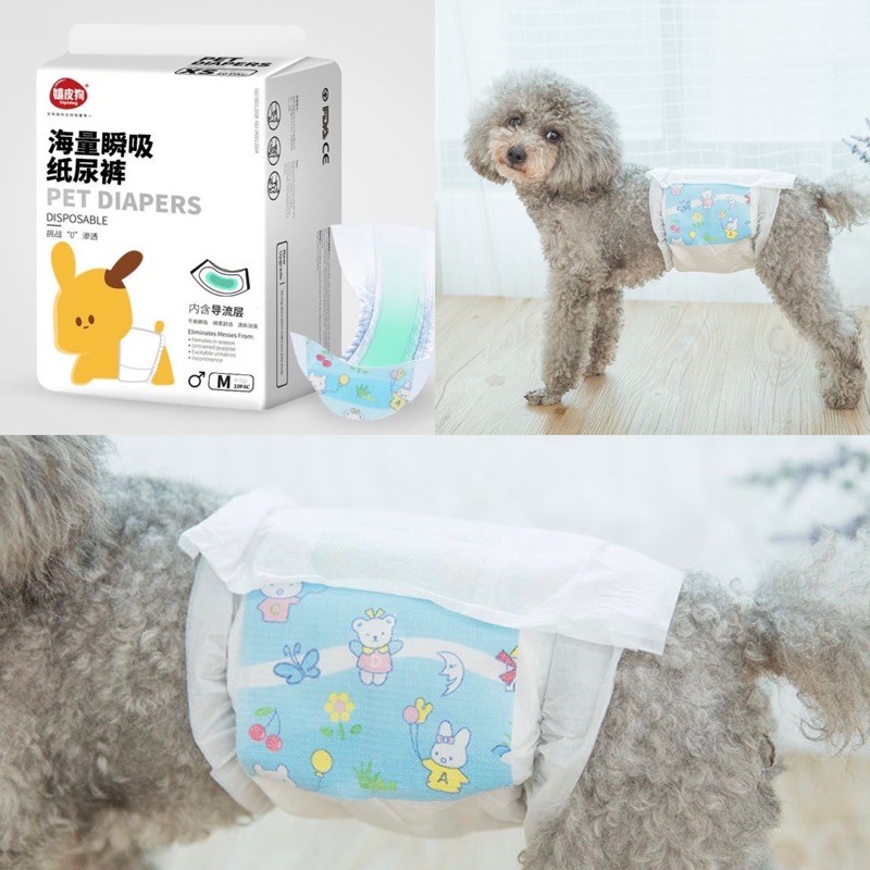 Bỉm chó, mèo đực hipi dog