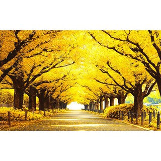 Tranh dán tường VTC Phong Cảnh con đường rừng cây lá vàng UD1000 kim sa
