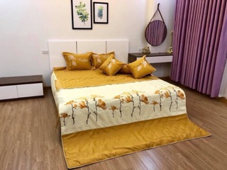 Combo bộ chăn ga gối sa tin 7 món