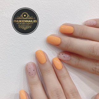 set pastel 9 chai