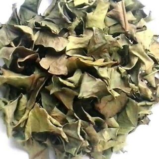 500g lá vối khô
