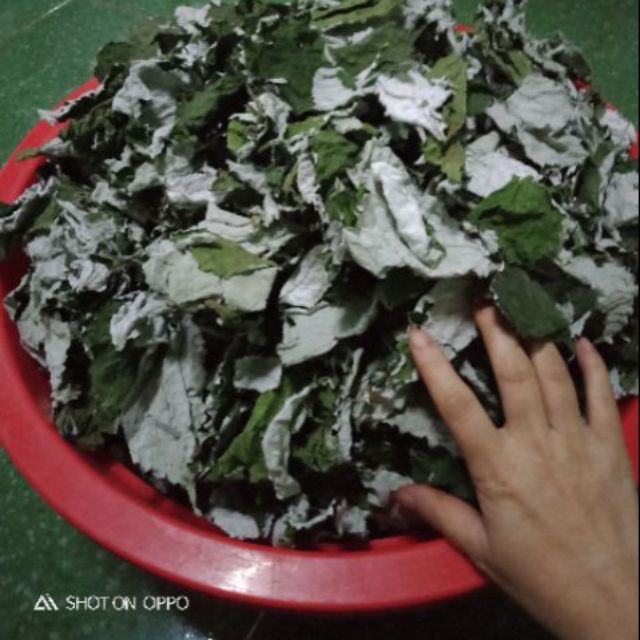 Lá gai khô 500g