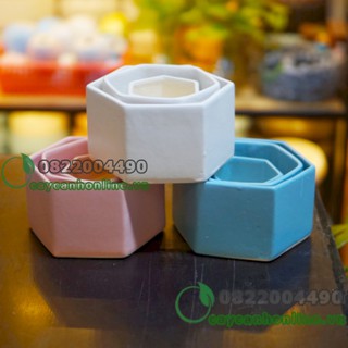 Bộ 3 chậu lục giác gốm sứ trồng cây cảnh để bàn, cây cảnh mini, sen đá xương rồng