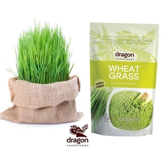 Bột cỏ lúa mì hữu cơ Dragon Superfoods