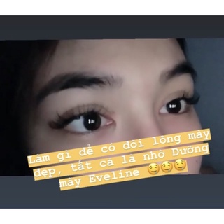 Tinh Chất Dưỡng Chân Mày Eveline