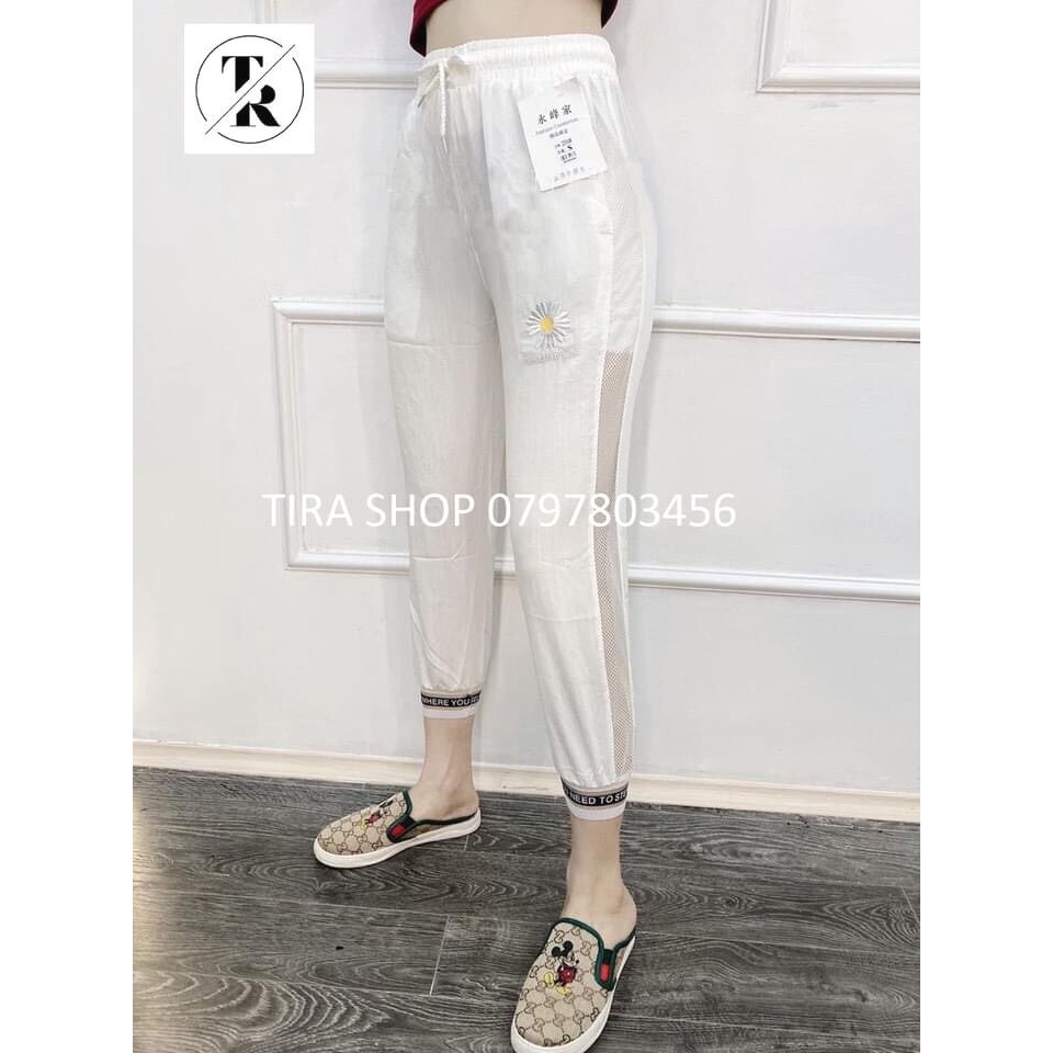 Quần đũi hoa cúc bo gấu hót