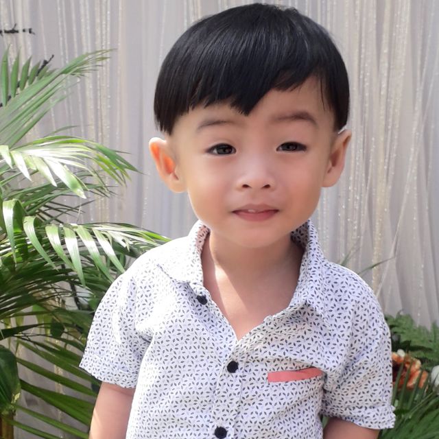 đồ chơi Gia bảo