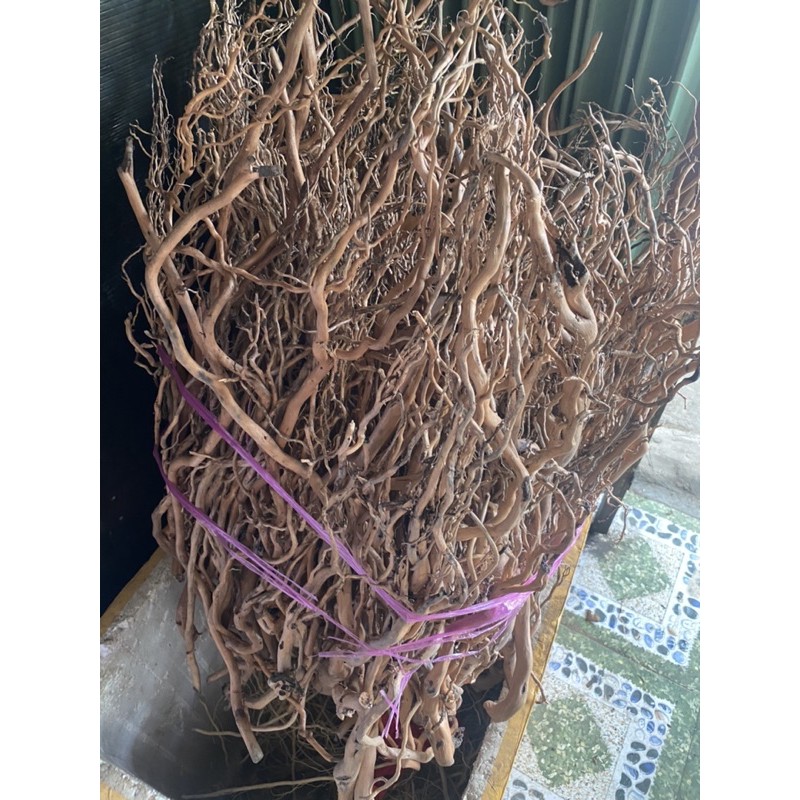 Rễ Rừng Xoắn Indo [100gram] Rễ Mềm,Dẻo | Trang trí bể thuỷ sinh, bể cá cảnh