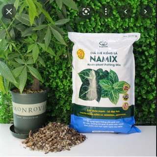 Đất trồng kiểng lá- giá thể trồng cây kiểng lá namix, cây decor, monstera, cây cảnh trong nhà