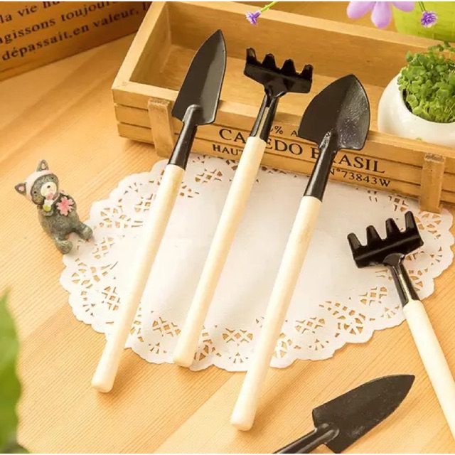 Bộ dụng cụ chăm sóc cây tiểu cảnh