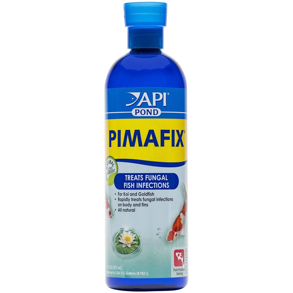 [473ML] API POND PIMAFIX - XỬ LÝ NẤM & KHUẨN HẠI CHO CÁ CẢNH