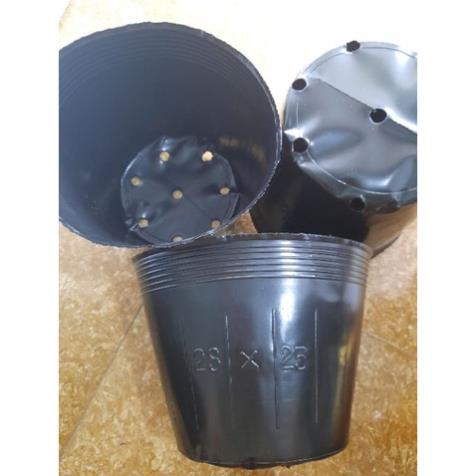 1kg túi bầu (chậu) ươm cây 23.18 khoảng 80 cái