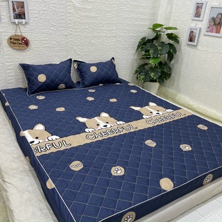 Bộ ga gối poly cotton chun trần bông nhiều kích thước chọn lựa mẫu cún cheerful