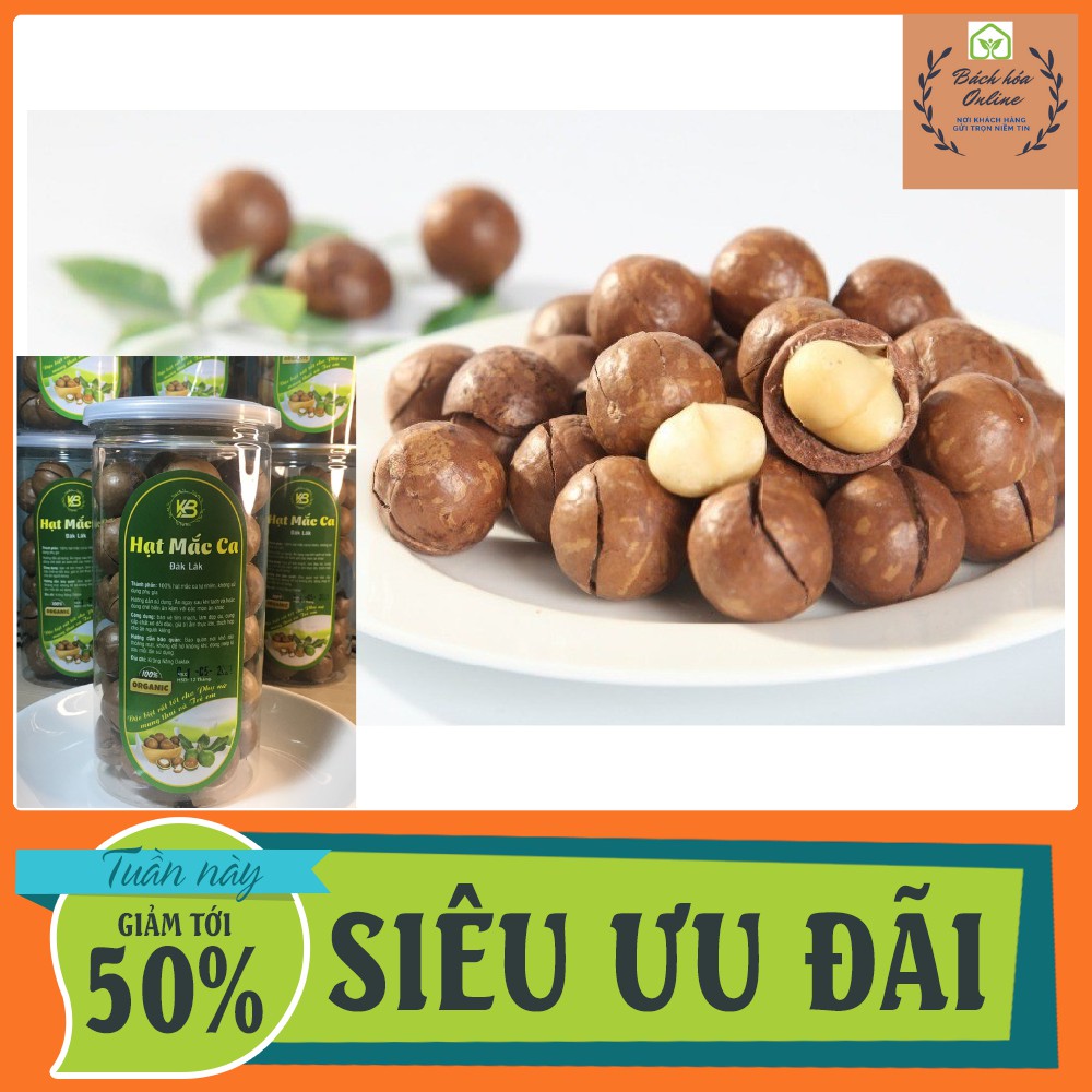 Hạt Macca ĐăkLăk [size đại loại 1] Sạch, Chất Lượng [1/2kg] tặng kèm dụng cụ tách hạt | BigBuy360 - bigbuy360.vn