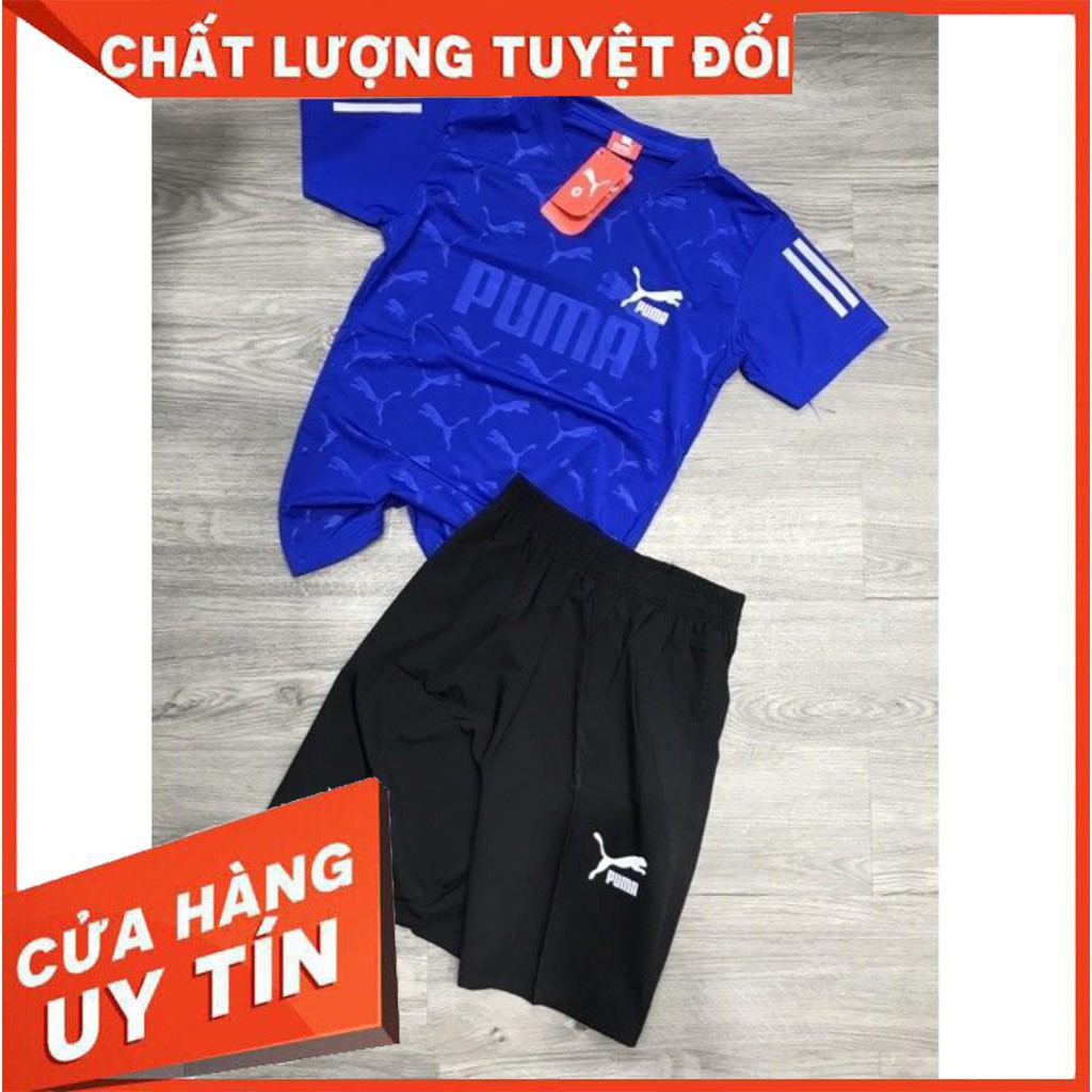 Đồ Bộ Nam Giá Rẻ 💟FREESHIP💟 Bộ Thể Thao Nam Hè 2020 In Vân Báo | BigBuy360 - bigbuy360.vn