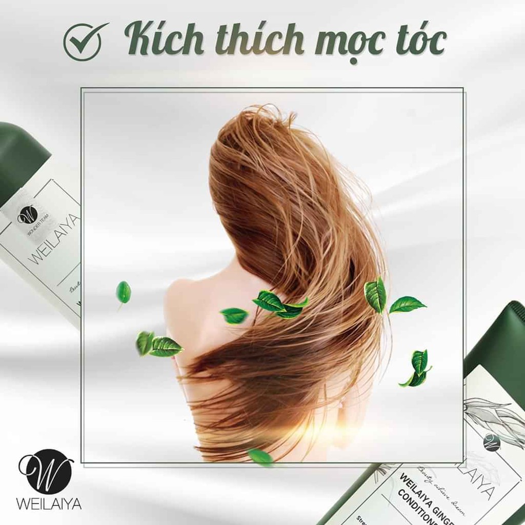 Bộ dầu gội Weilaiya mọc tóc tri rụng tóc tinh chất Gừng và Hà Thủ Ô | BigBuy360 - bigbuy360.vn