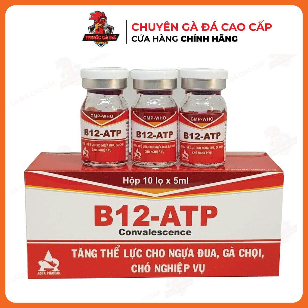 B12 ATP TĂNG BO, LÌ ĐÒN HỘP 10 LỌ CHO GÀ ĐÁ