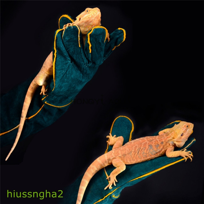 Đôi găng tay da bảo vệ chống cắn an toàn dành cho nuôi thú cưng