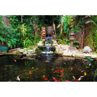 Dung dịch làm trong nước JINDI