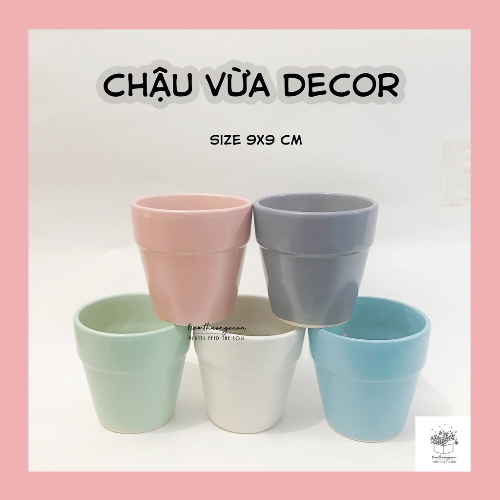 Chậu trồng cây size 9x9 cm - Hoa Sen đá Cây cảnh - Nhà cửa đời sống - Tiệm Thường Xuân