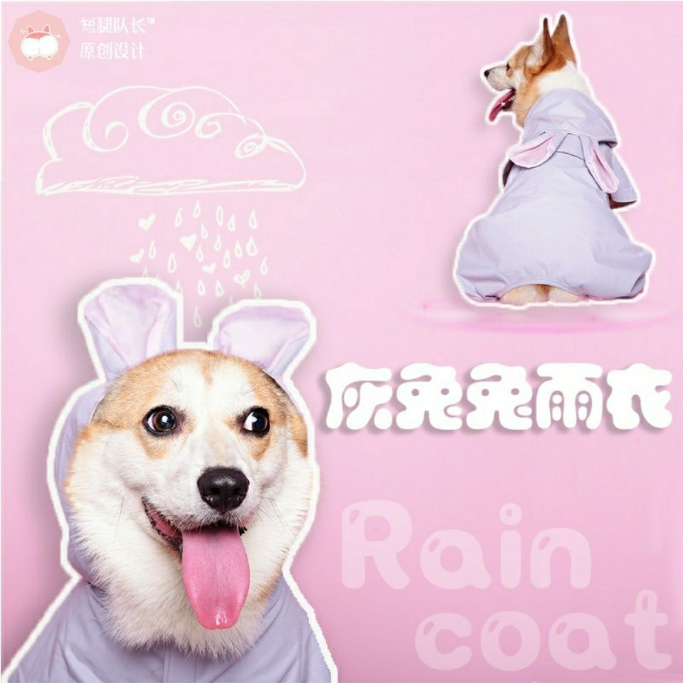 Áo mưa cho chó con nhỏ Teddy cỡ vừa corgi lớn săn lông vàng toàn thân quần chăn nuôi gia súc biên giới