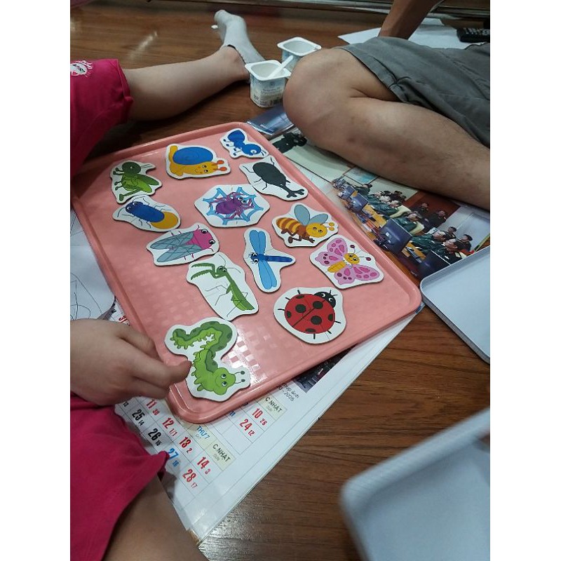 (Nhiều mẫu)(video thật) Ghép hình hộp Sắt 2 mảnh Shapes Puzzle cho bé - côn trùng, đại dương #dochoithongminh