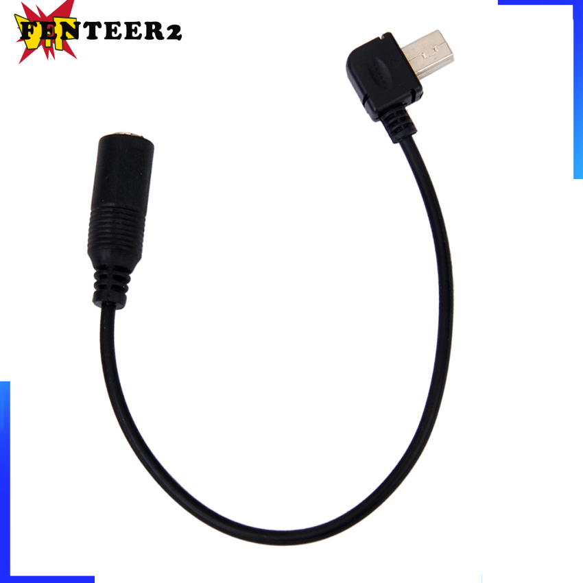 (Fenteer2 3c) Mini Usb Sang Micro Jack 3.5mm Cho Hero 4 / 3 / 3 +