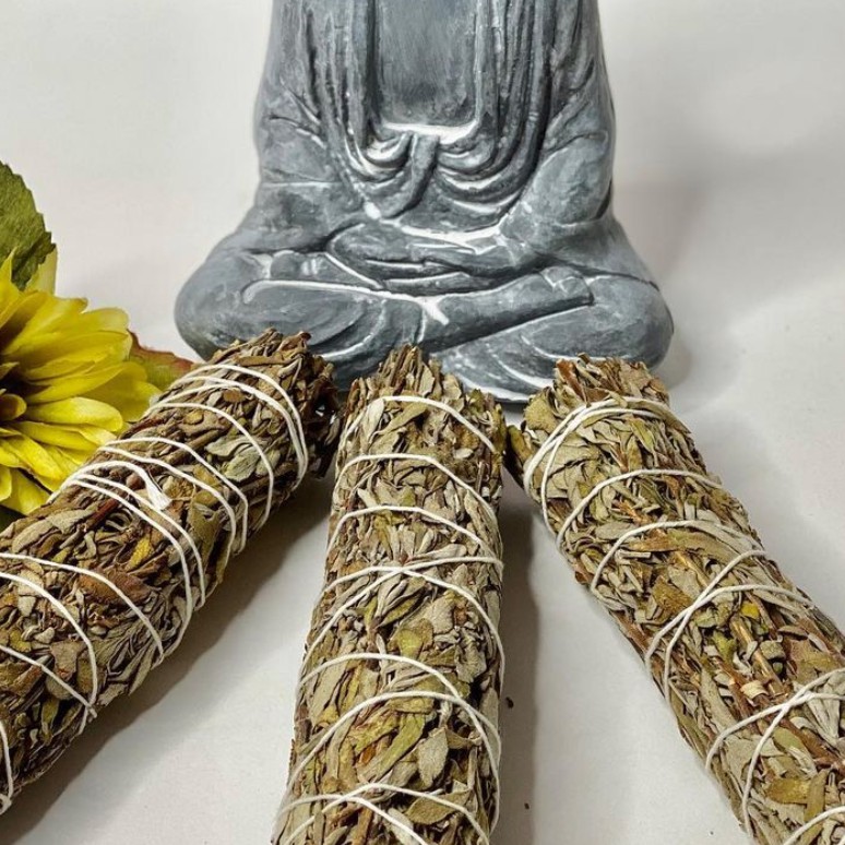 Xô Thơm Đen (Black Sage) Thanh Tẩy Năng Lượng Tiêu Cực & Định Hướng Tâm Linh l XÔ THƠM THANH TẨY