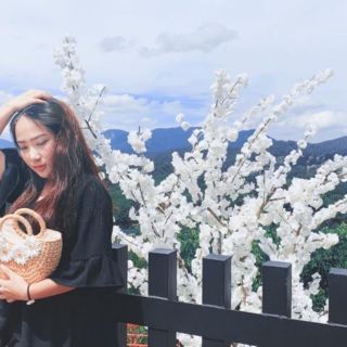 Túi cói đi biên siêu đẹp