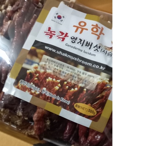 GIÁ SỐC: NẤM SỪNG HƯƠU HÀN QUỐC HỘP CÔ GÁI 500G NẤM