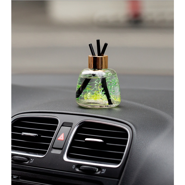 Tinh dầu thiên nhiên khử mùi xe hơi, ô tô hiệu WIACHNN 120ml - D&A shop