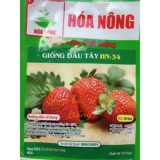 20 hạt giống dâu tây dễ trồng