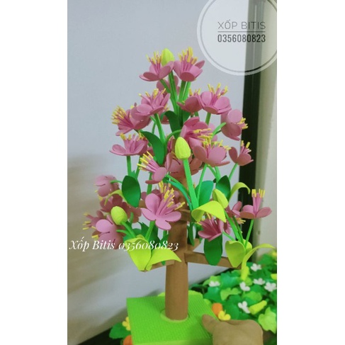 Cây hoa đào, cây hoa mai xốp - tết và mùa xuân