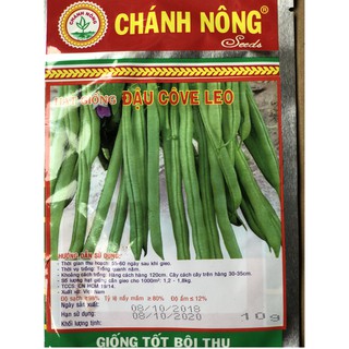 Hạt giống đậu cô ve leo