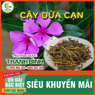 Cây Dừa Cạn Khô 500g - Loại Cao Cấp - Thảo Dược Thanh Bình