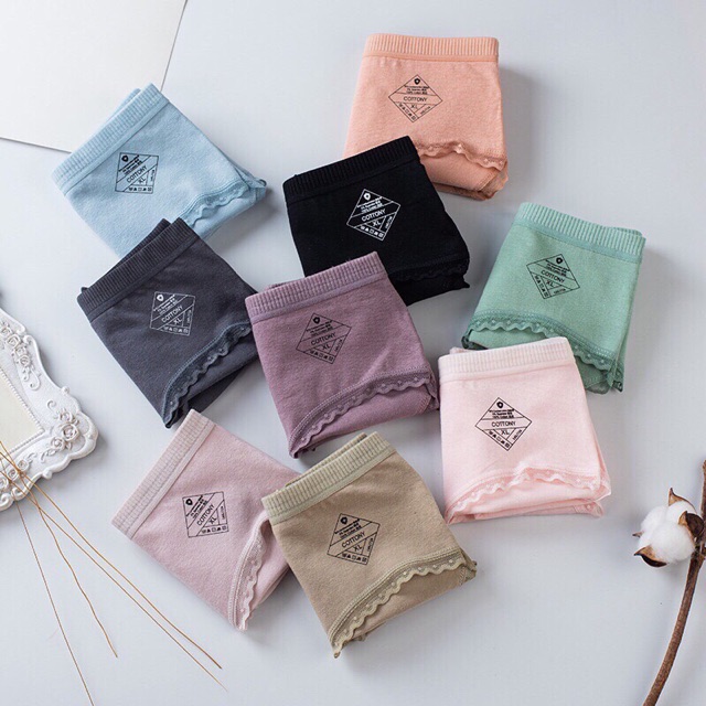 Quần chip cotton thoáng mát màu xinh