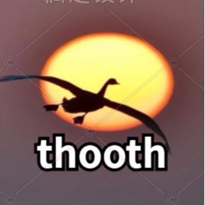 thooth.vn