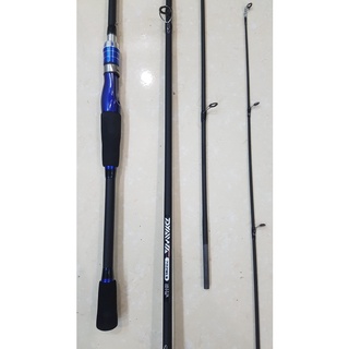 Cần Câu Lure DAIWA 2021