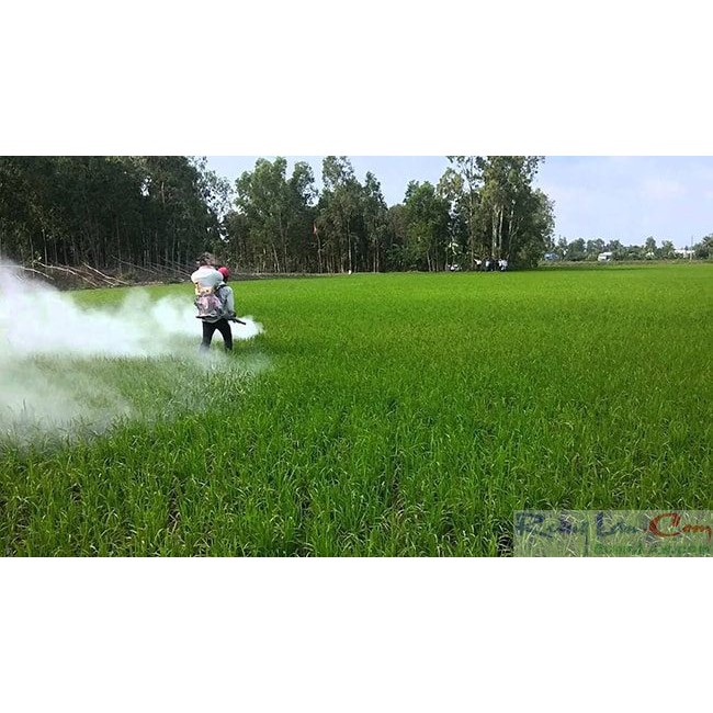 Tinh vôi 98 bột siêu sát khuẩn dùng cho nhà vườn trang trại khử khuẩn bịch 1kg