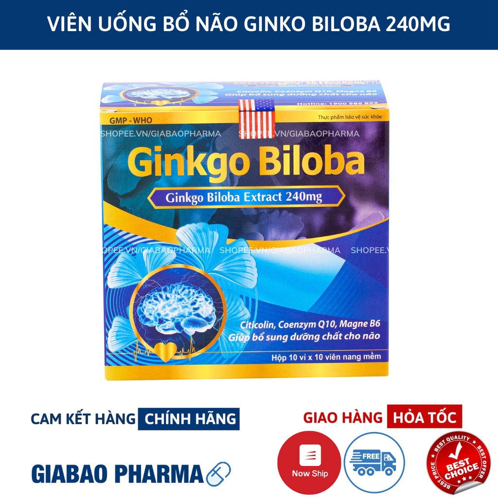 Viên uống bổ não GINKGO BILOBA 240mg xanh giúp tăng cường trí nhớ, tăng tuần hoàn máu não, ngừa tai biến – HỘP 100v