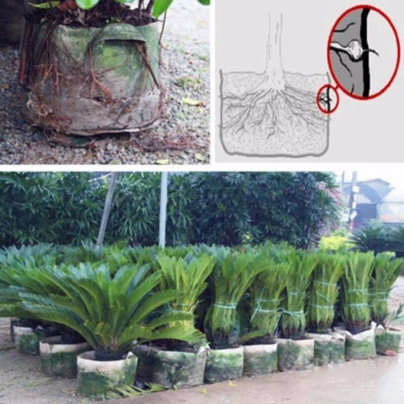 New Fashion Round Fabric Pots Plant Pouch Root Container Grow Bag Aeration Container