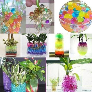 Hạt tinh thể trồng cây gói 100 viên .